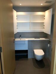 Eight Riversuites (D12), Condominium #470095331